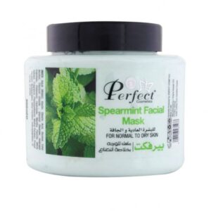 Perfect Spearmint Facial Mask 500ml – Deep Cleansing & Exfoliating | Normal to Dry Skin becool beauty maroc
